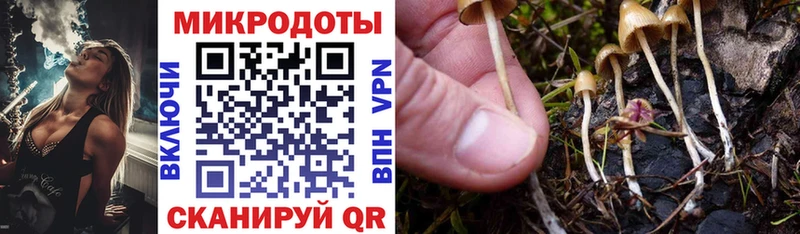 Галлюциногенные грибы ЛСД где продают Сатка